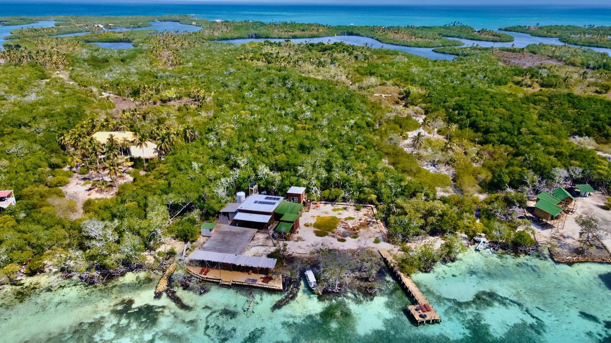 Medusa Hostel Isla Tintipan Tintipan Island Kültér fotó